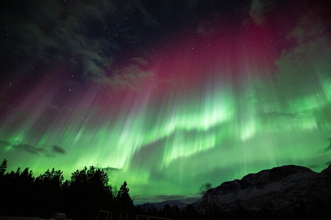 Northern Lights Chase with Authentic North Norwegian Charm - Winter Gear, Snacks, and the Lavvu Bonfire Moment