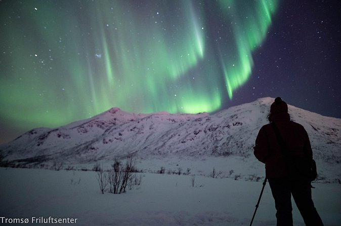 Northern Lights Chase with Authentic North Norwegian Charm - Duration, Timing, and How to Improve Your Odds