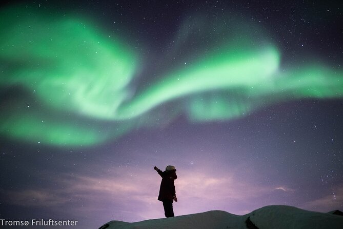 Northern Lights Chase with Authentic North Norwegian Charm - Price and Value: What $210.54 Includes (and Why It Matters)