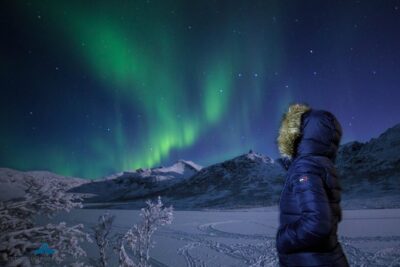 - Northern Lights Chase with Photo Package Included - Price and timing: what $104.50 buys you on an aurora night