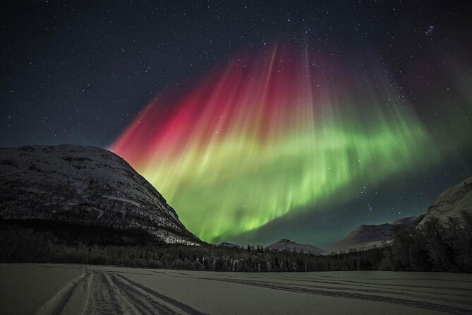 Northern Lights Chase with Photography from Tromsø - Key Things That Make This Aurora Chase Work