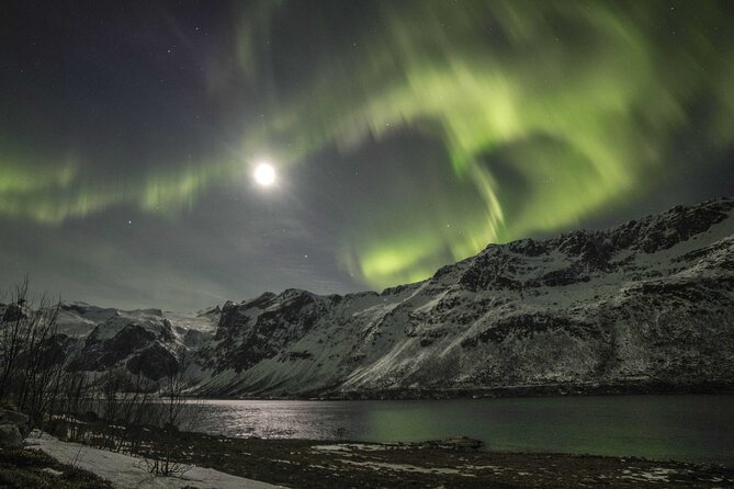 Northern Lights Chase with Photography from Tromsø - Safety, Weather Decisions, and What You Can’t Control