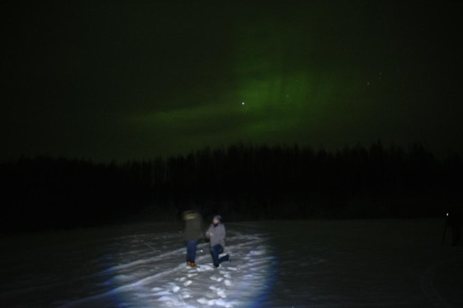 Northern Lights & Chena Hot Springs Tour - Key points worth planning for