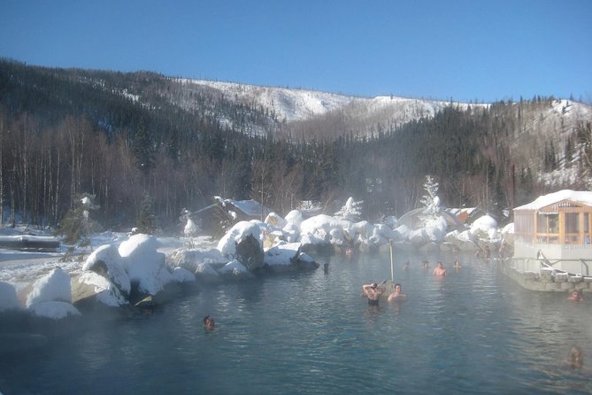 Northern Lights & Chena Hot Springs Tour - Price and value: is $250 reasonable for what you get?