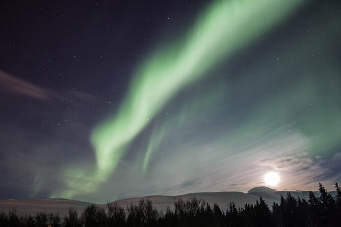 Northern Lights Classic MiniBus Tour from Akureyri - Key points worth knowing before you go