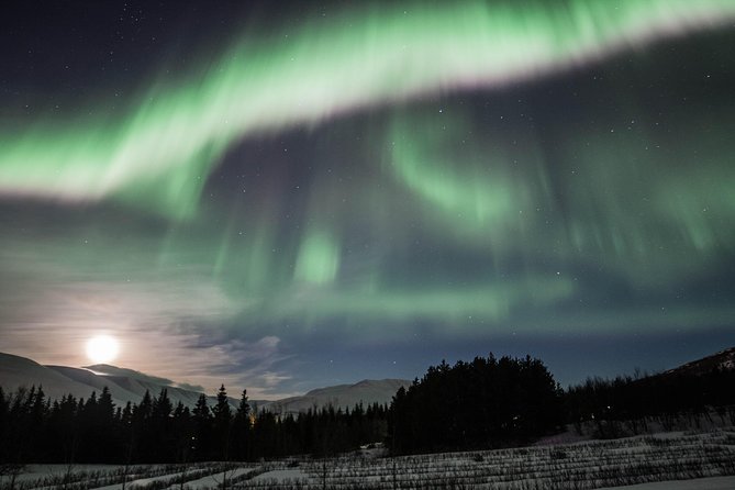 Northern Lights Classic MiniBus Tour from Akureyri - On the road out of town: the Akureyri landmark and your hunt