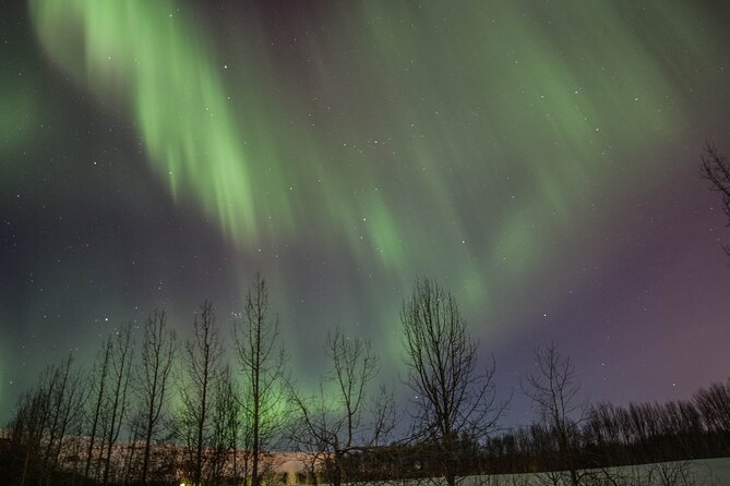 Northern Lights Classic MiniBus Tour from Akureyri - Free retry next evening: turning one shot into two