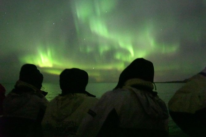 Northern Lights Cruise from Reykjavik Including Photos - Your guide and the aurora talk: myths plus real science