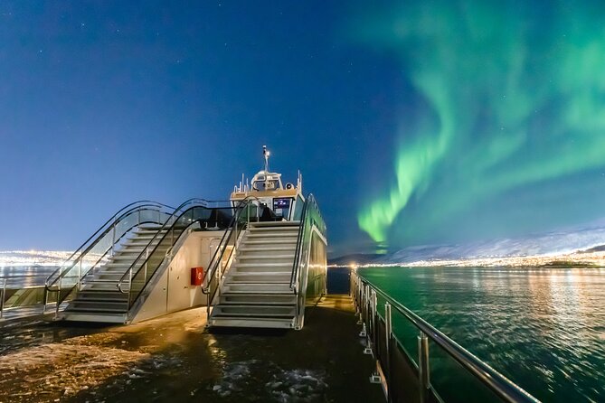 Northern Lights Cruise in Bodø - Key things to know before you go