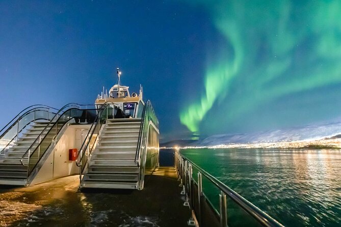 Northern Lights Cruise in Bodø - Bodø Northern Lights in 3 hours: managing expectations