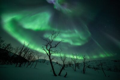 Northern Lights Expedition Tromsø - 6 people - Arctic Photo Guide - The 4x4 Land Cruiser: comfort, capacity, and why it matters