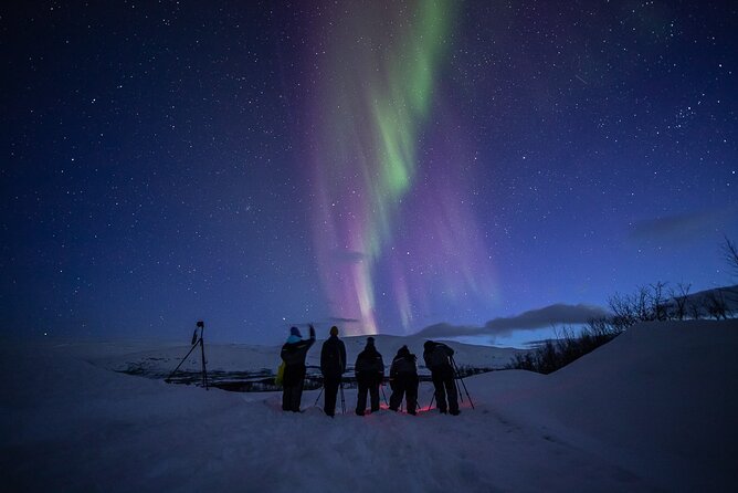 Northern Lights Expedition Tromsø - 6 people - Arctic Photo Guide - How the night actually unfolds: forecasts and smart repositioning