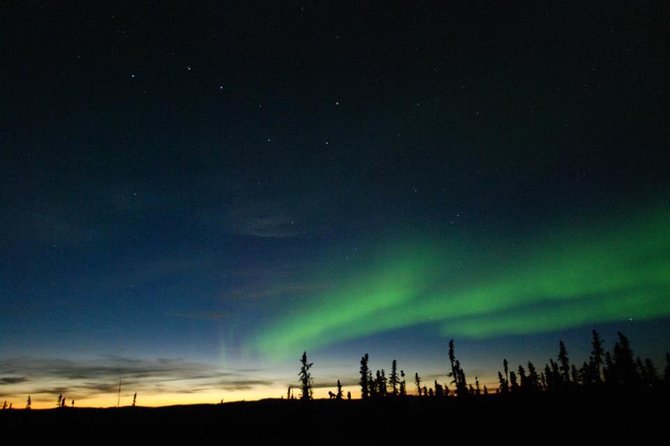 Northern Lights Experience and Cabin Dinner - Key things to know before you go