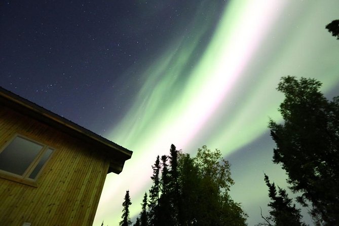 Northern Lights Experience and Cabin Dinner - Guides, group vibe, and why personalities matter