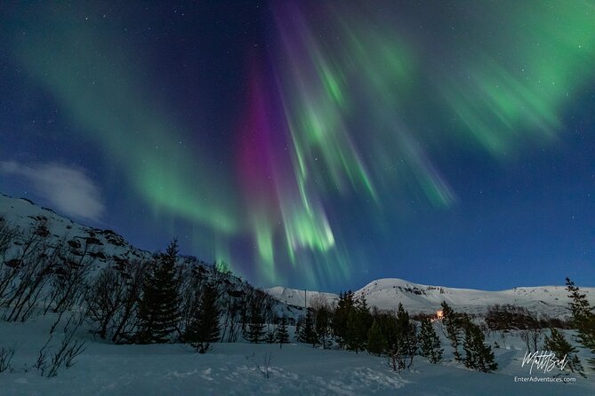 Northern Lights Guided Bus Tour with Free Photos - Key things to know before you go