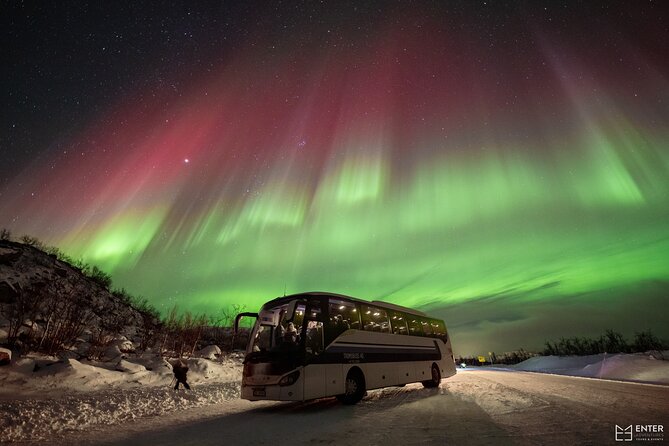 Northern Lights Guided Bus Tour with Free Photos - Northern Lights by bus in Tromsø: the smart starting point