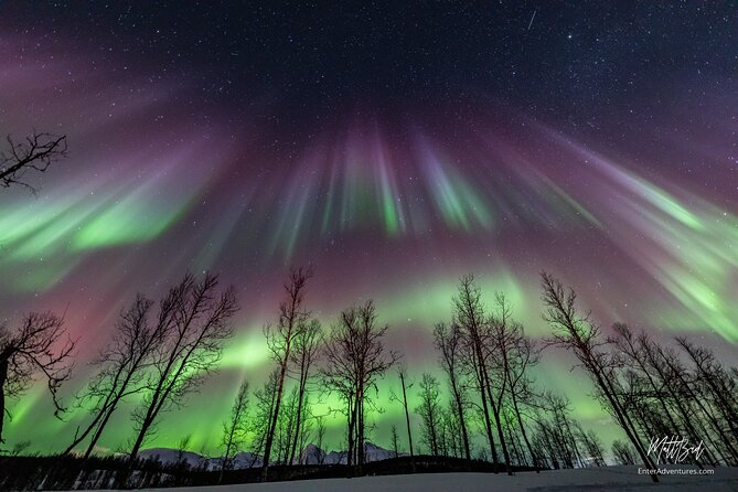 Northern Lights Guided Bus Tour with Free Photos - How the aurora chase works: forecasts, less city glare, and moving when needed