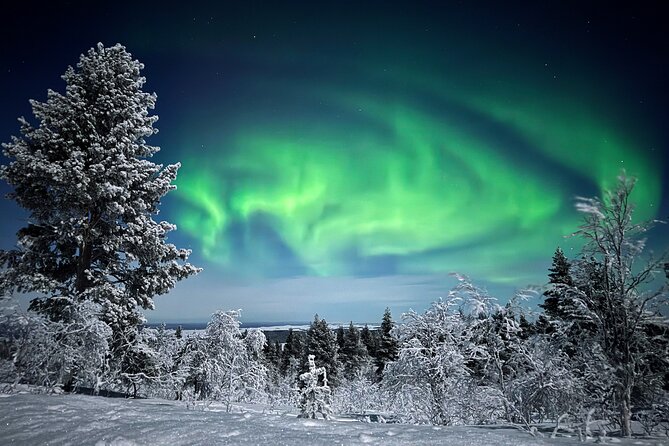 Northern Lights Holiday in Finland - Ivalo and Inari: where your Lapland week really starts