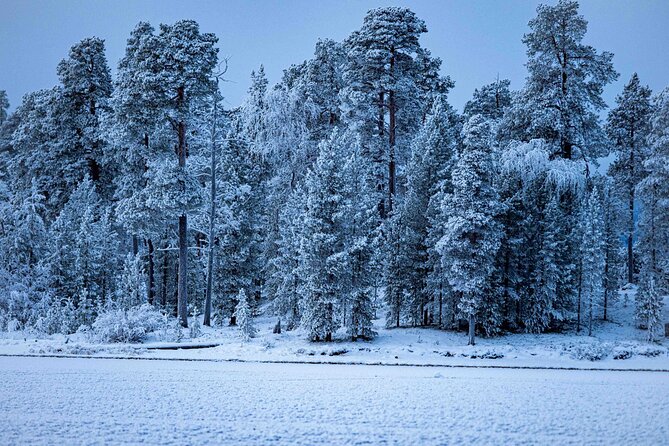 Northern Lights Holiday in Finland - Winter trek across Inari’s snowy paths, with sauna to finish