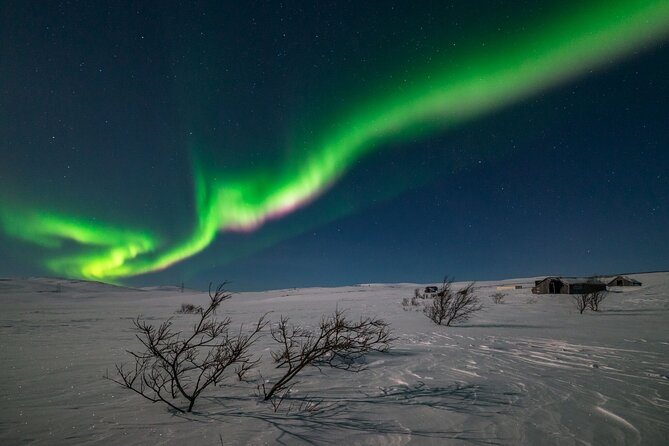Northern Lights Hunt - Key things to know before you go