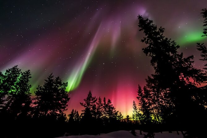 Northern Lights Hunt from Rovaniemi with Folk Tales and Snacks over Campfire - Northern Lights are weather-dependent, so plan for both outcomes