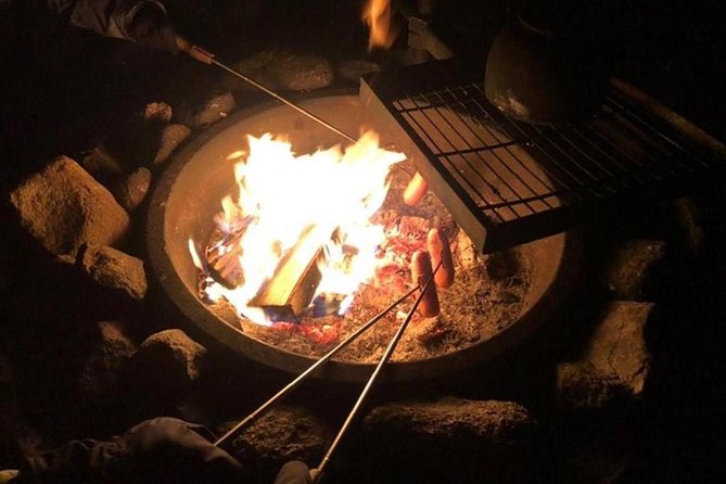 Northern Lights Hunt Including Snacks on Campfire from Levi - Group Size, Comfort, and Who This Tour Works For