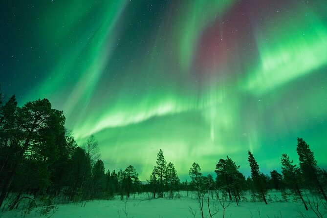 Northern Lights Hunt with The Green Adventure - photos included - Tromsø Aurora Hunting With Real-World Driving, Not Just a Bus Stop
