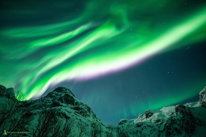 Northern Lights Hunt with The Green Adventure - photos included - Route Reality: Dark Skies, Icy Roads, and Sometimes Finland