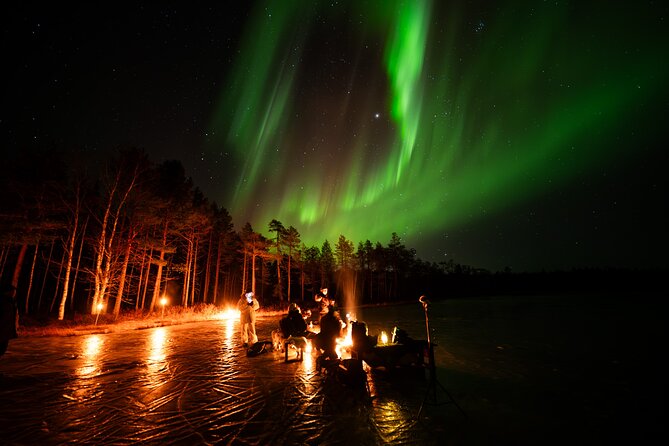 Northern Lights Hunting Expedition in Ranua, Lapland - Why Ranua is a solid choice for the Northern Lights