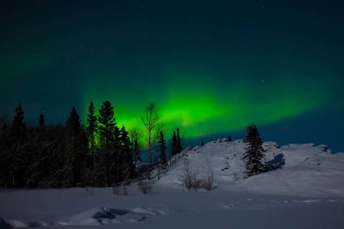Northern Lights Hunting of Rovaniemi - Winter warmth break: Lapland BBQ by the fireplace