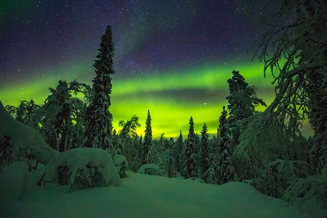 Northern Lights Hunting of Rovaniemi - Photographing the lights: guides who help you get real results