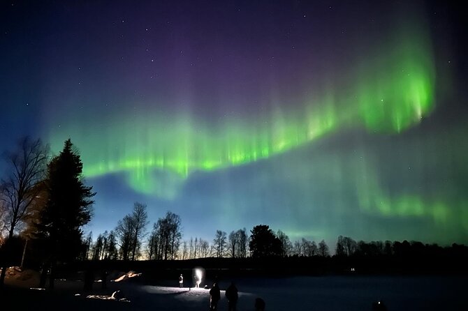 Northern Lights Hunting of Rovaniemi - Price and value: what $89.36 buys you in a cold-weather city