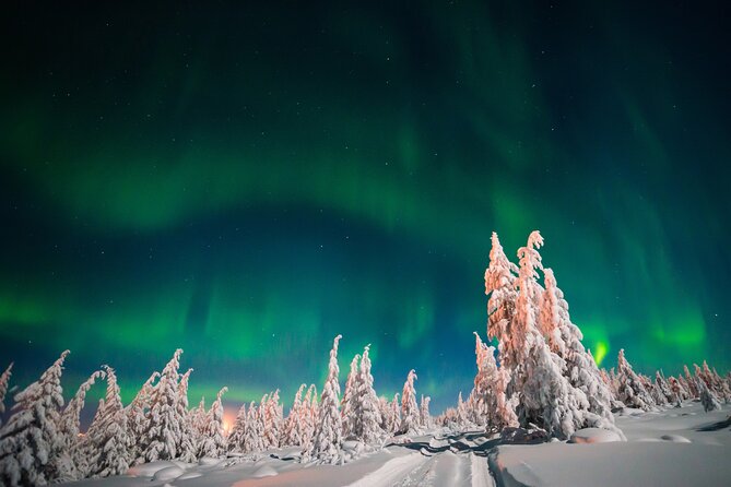 Northern Lights Hunting of Rovaniemi - The small-group limit: up to 16 people and why it matters