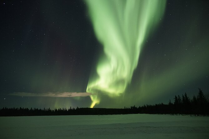 Northern Lights Hunting Photo Tour in Levi - When the aurora is subtle: hot drinks, cookies, and a better exit plan