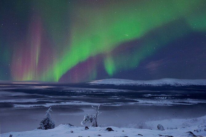 Northern Lights Hunting Photography Tour in Levi - Key Points You’ll Care About