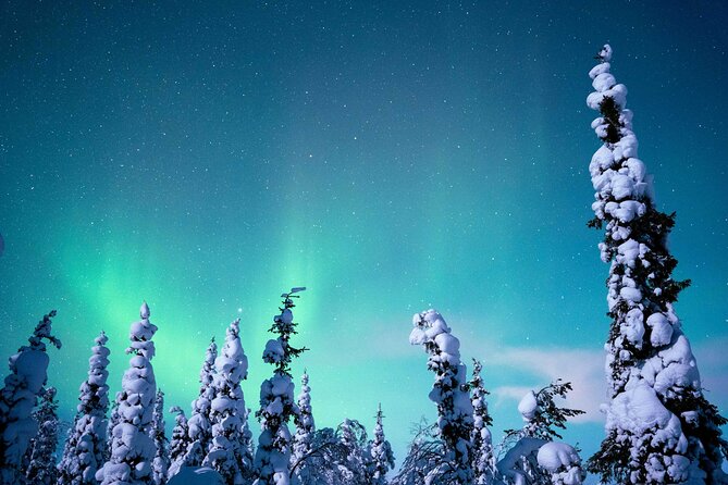 Northern Lights Hunting Photography Tour in Levi - Stop 2 in Lapland: Premium Minivans and Quiet Private Locations