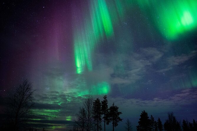 Northern Lights Hunting Photography Tour in Levi - The Small-Group Advantage: 2 to 8 Means You Get Help