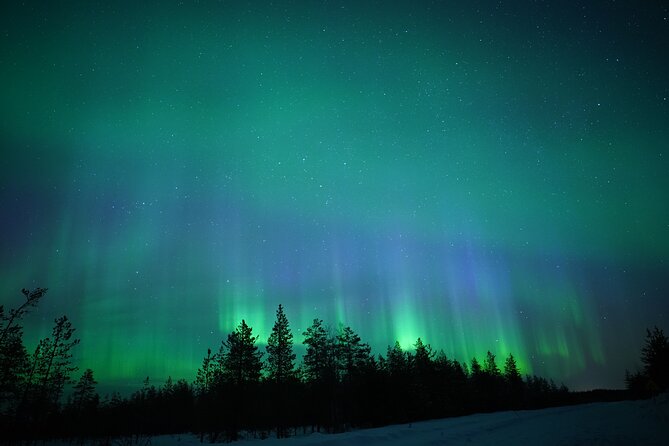 Northern Lights Hunting Photography Tour in Rovaniemi Finland - Key Things I’d Focus On Before You Go