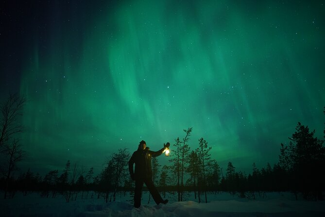 Northern Lights Hunting Photography Tour in Rovaniemi Finland - Your Night Plan in Plain Terms: 8:00 PM Start and Lapland Drive Time