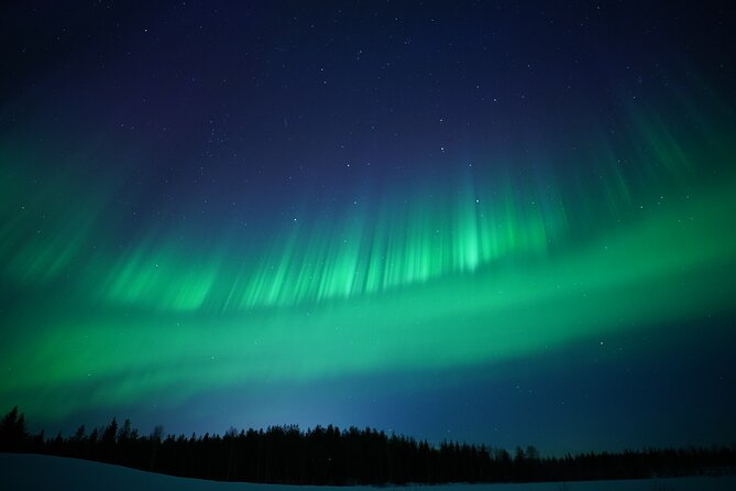 Northern Lights Hunting Photography Tour in Rovaniemi Finland - Group Size, Pickup, and the 8 PM Logistics That Decide Comfort