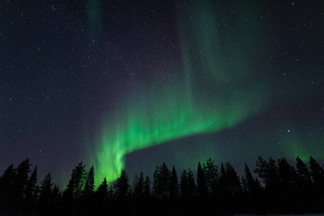 Northern Lights Hunting with a photographer (Only small groups) - Key highlights I’d bookmark before booking