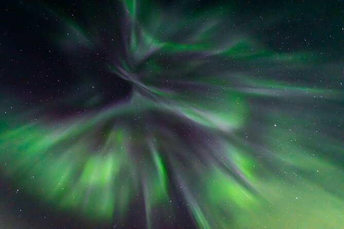 Northern Lights Hunting with a photographer (Only small groups) - Warm-up breaks: hot drinks, cookies, and aurora app time