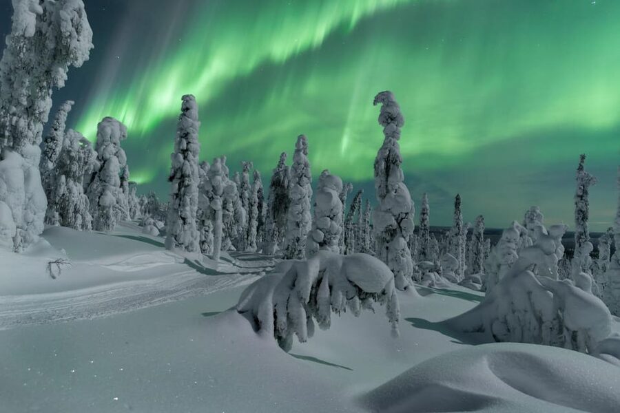 Northern Lights Hunting with Aurora Workshop - Key highlights you’ll actually use