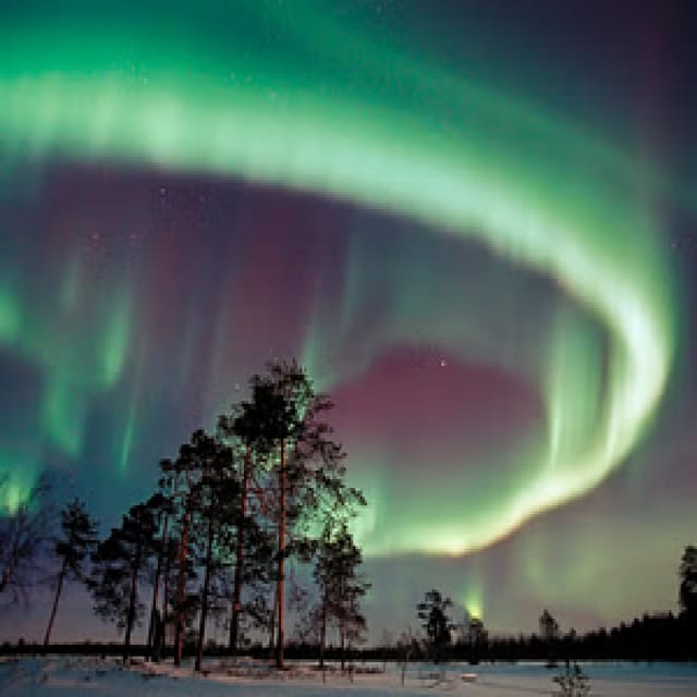 Northern Lights Hunting with Aurora Workshop - Should you book Northern Lights Hunting with Aurora Workshop?