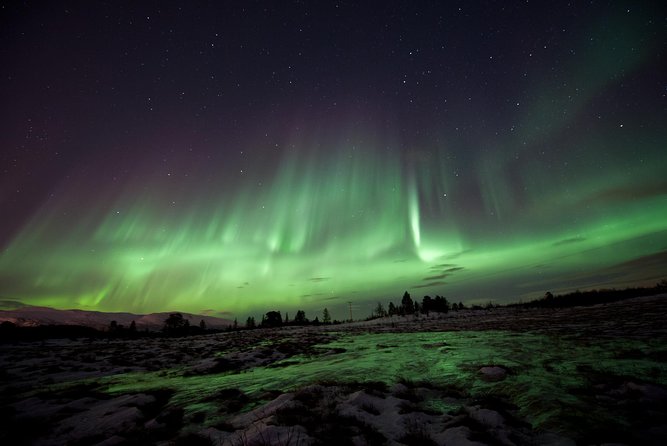 Northern Lights Husky Visit - Key highlights at a glance