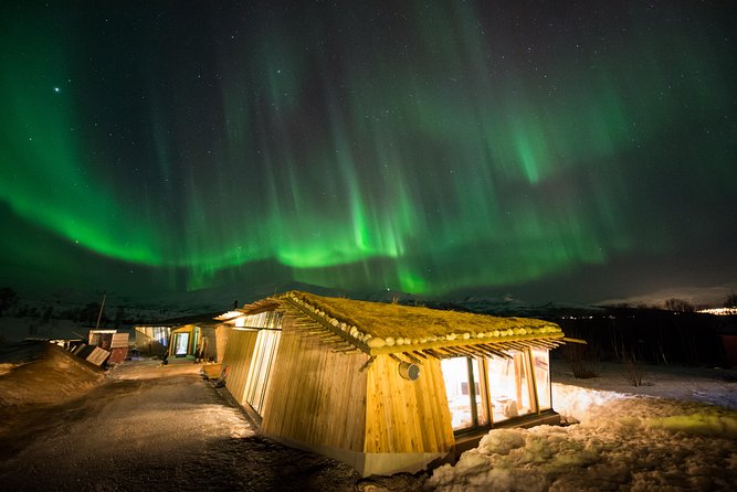 Northern Lights Husky Visit - Why this Tromsø husky-and-aurora combo feels different