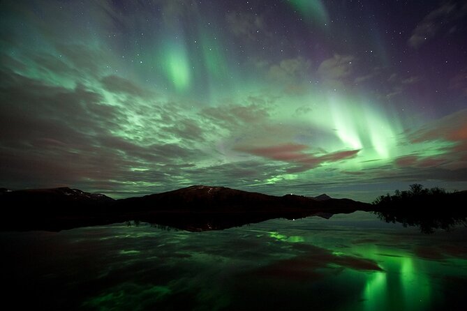 Northern Lights Husky Visit - Value in real terms: what you pay for at $193.27