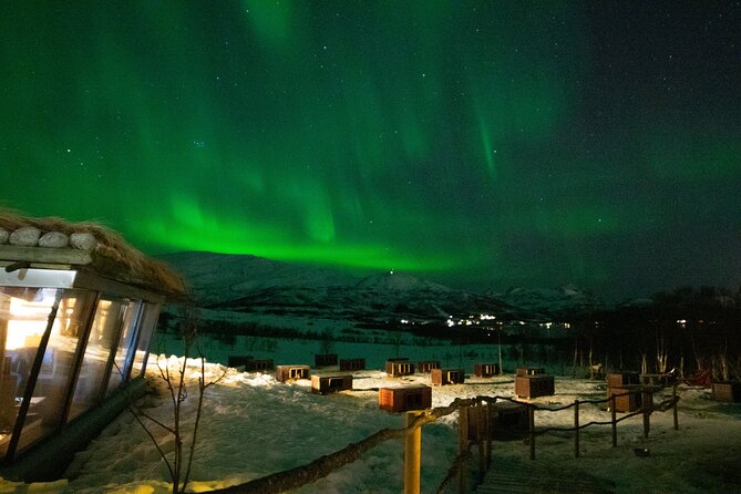 Northern Lights Husky Visit - Who this tour suits best (and who should choose differently)