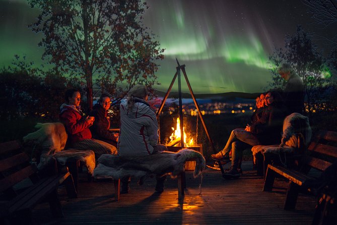 Northern Lights Husky Visit - Tromso Wilderness Centre: what the husky visit really looks like
