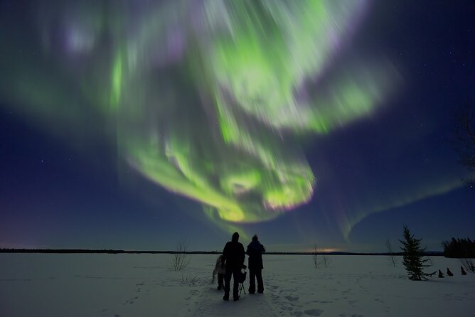 Northern Lights Lodge & Chase Tour from Fairbanks - Key things to know before you go